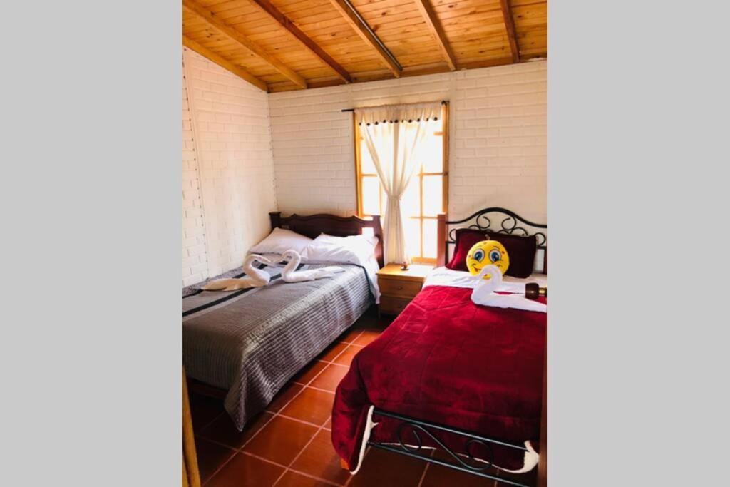 Cabana Buenavista Es Un Lugar Para Descansar. Iza Kültér fotó