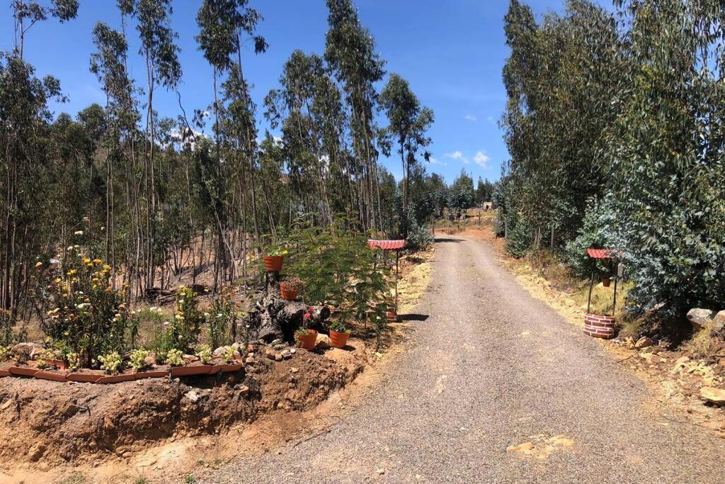 Cabana Buenavista Es Un Lugar Para Descansar. Iza Kültér fotó