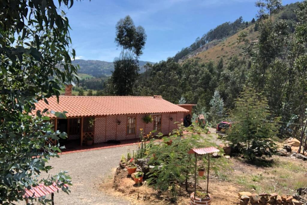 Cabana Buenavista Es Un Lugar Para Descansar. Iza Kültér fotó